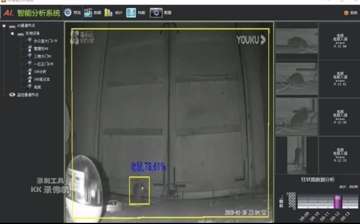 老鼠识别